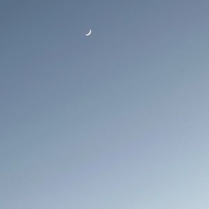 Meet your Posher, Nico